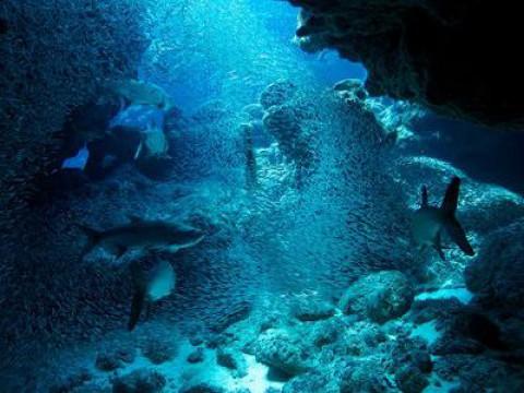 Atlantik - Ozean der Extreme (2): Hitze und Hurrikans