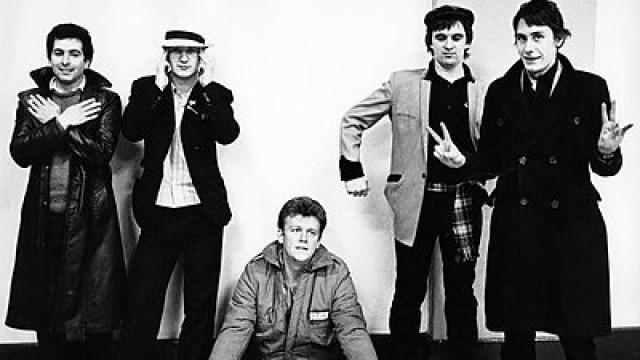 Squeeze: In Concert