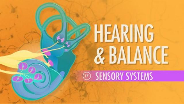 Hearing & Balance