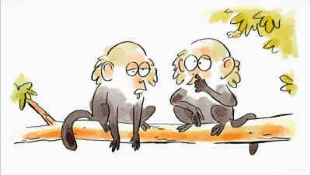 L'ophtalmologie chez les animaux