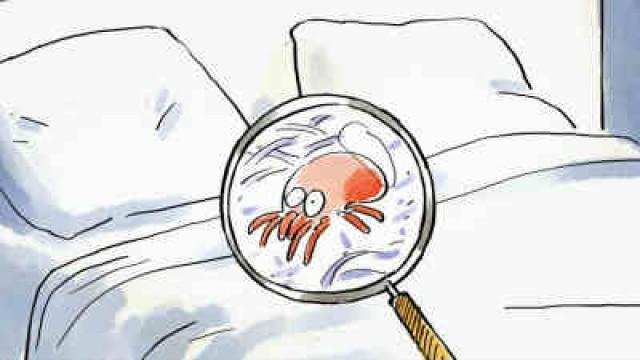 Jamais sans mes acariens !