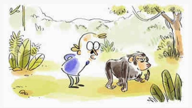 Évolution sexuelle de l'homme