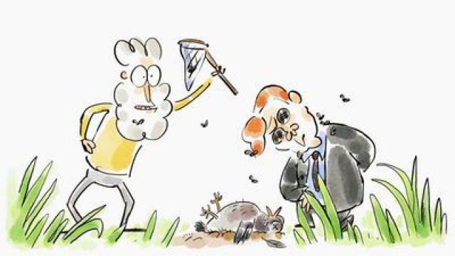 Entomologie forensique