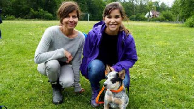 Ein Tag in der Hundeschule