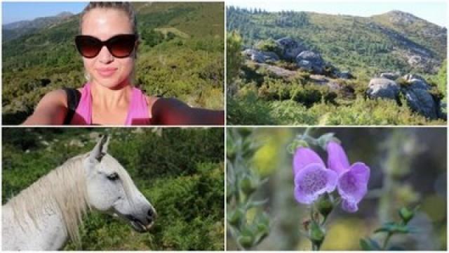 Corse, Balade en Montagne & Animaux sauvages