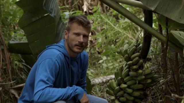 Roupa Velha e Cheesecake de Pimentão