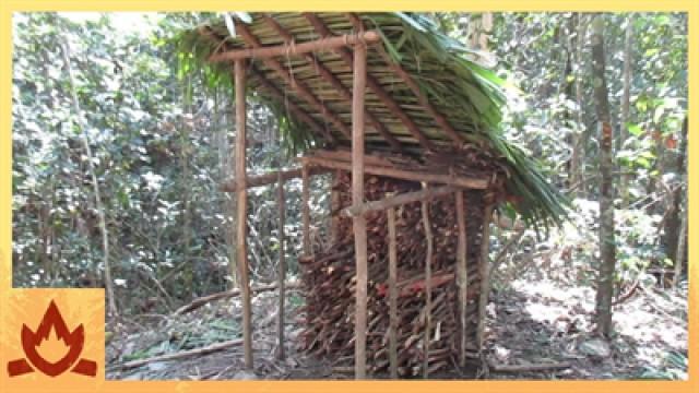 Wood shed and Native bee honey
