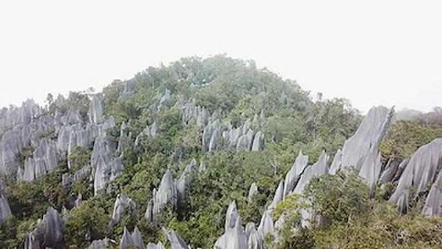 Gunung Mulu National Park