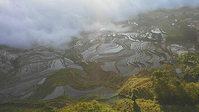 Honghe Hani Rice Terraces