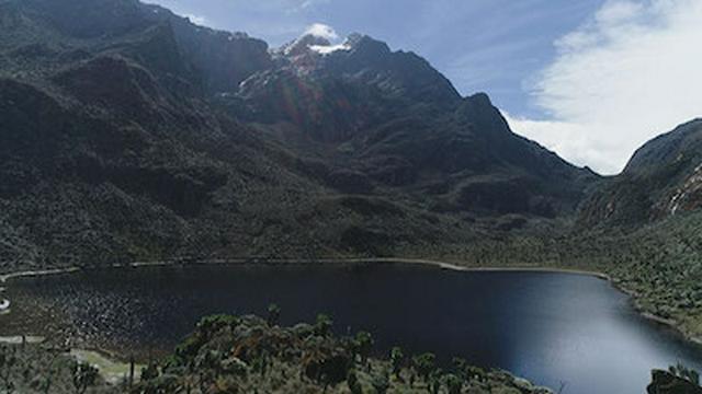 Rwenzori Mountains National Park