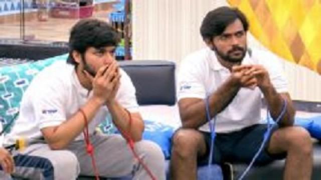 Housemates In Knots