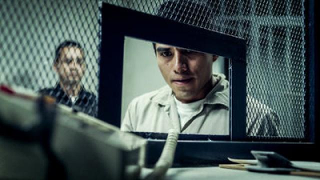 Welcome to Lomas Taurinas