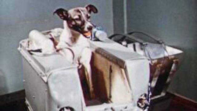 A Place Beyond the Sky