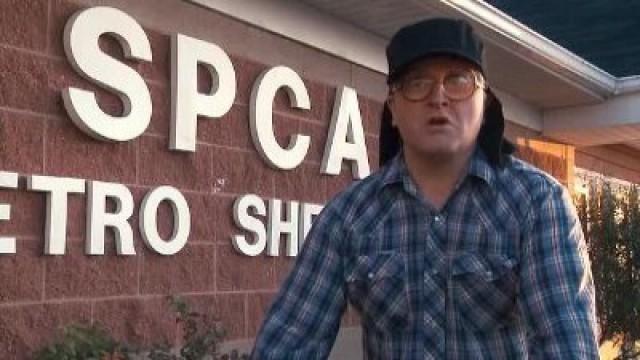 Trailer Park Boys: Countdown to Liquor Day