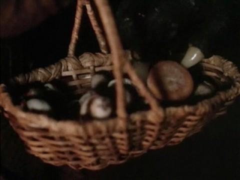 Badger's Remedy