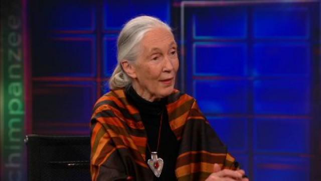 Jane Goodall