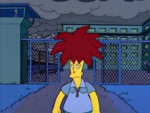 Sideshow Bob Roberts