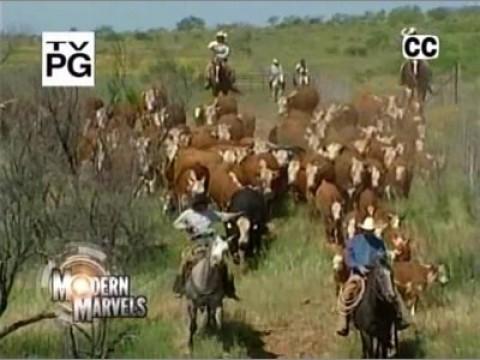 Cattle Ranches