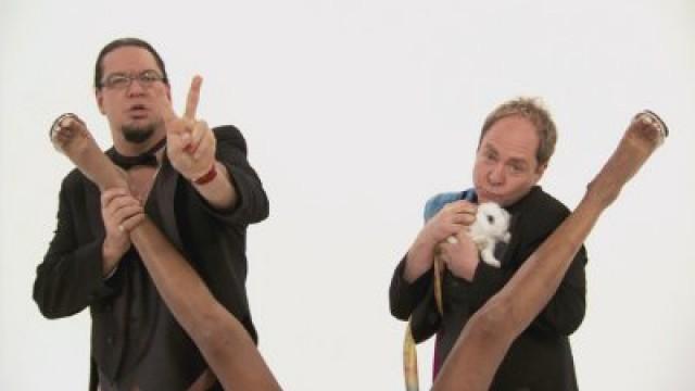 Orgasms