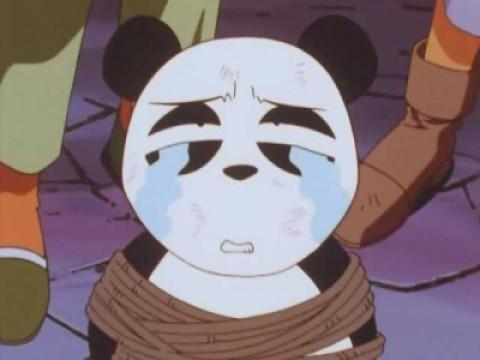 Those Who Have Been Animal Cursed