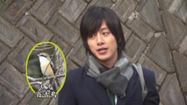 Live Action Special 3 - Challenge to Kudo Shinichi: Riddle of the Mysterious Legendary Bird