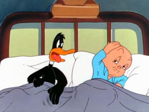 Daffy Duck Slept Here