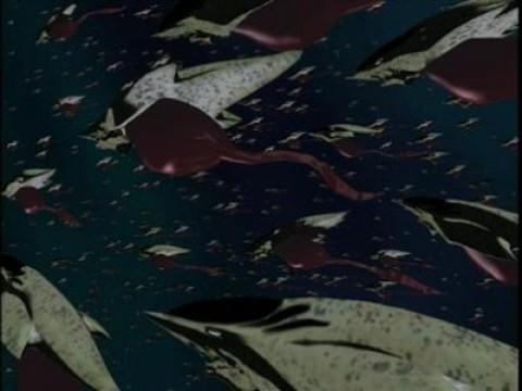 Curriculum 11-Drifting