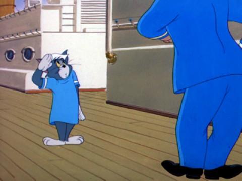 Cruise Cat