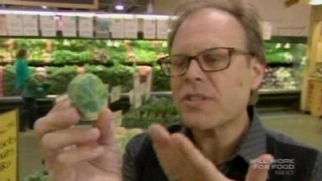 A Cabbage Sprouts in Brussels