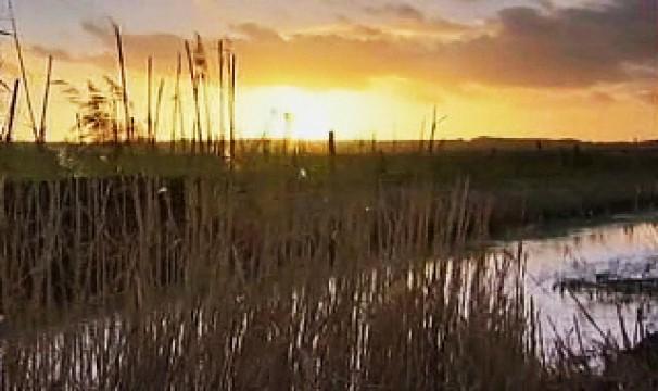 Washingborough, Lincoln - Life on the Edge 1000 Years BC