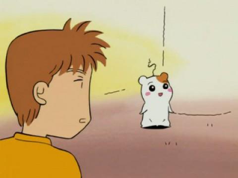 The Hair of Happiness Shines