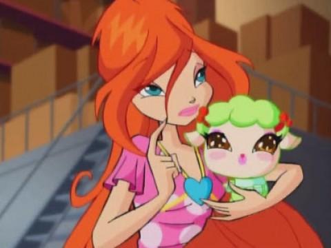 The Last Fairy on Earth