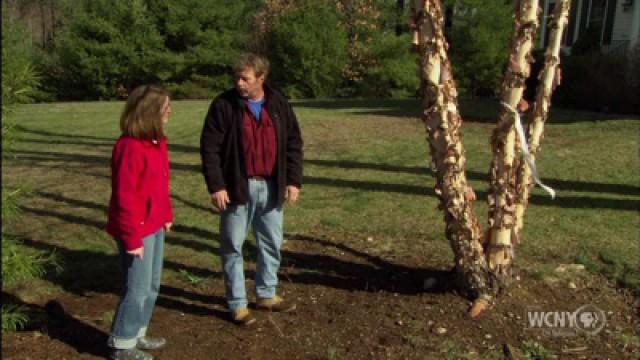 Transplanting Tress; Hooking Up Plumbing to a Washing Machine