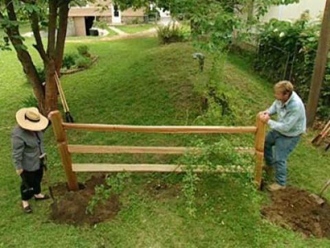 Rose Bushes; Wobbly Toilet; Water Leak; Hydraulic Cement