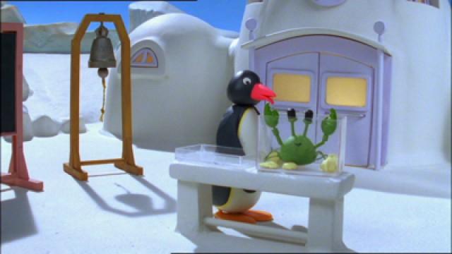 Pingu and the School Pet