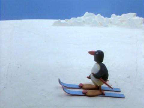 Pingu on Makeshift Skis