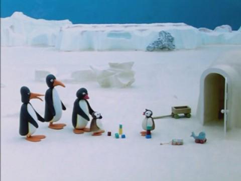 Pingu and the Stranger