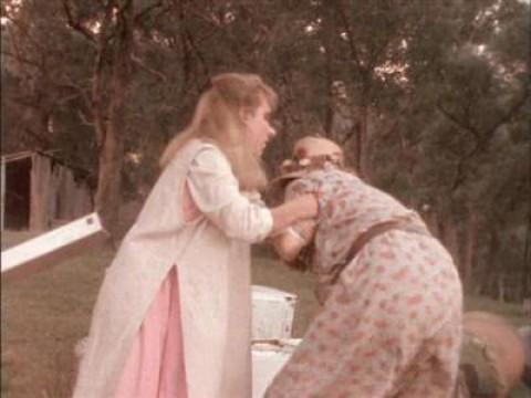 The Gum-Leaf War