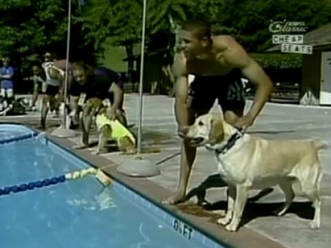 Superdogs! Superjocks