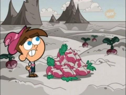 Timmy Turnip