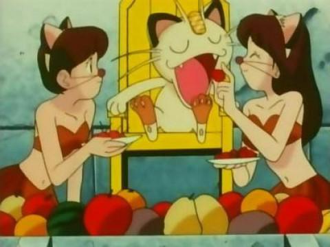 Meowth Rules!