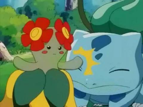 Bulbasaur... the Ambassador!