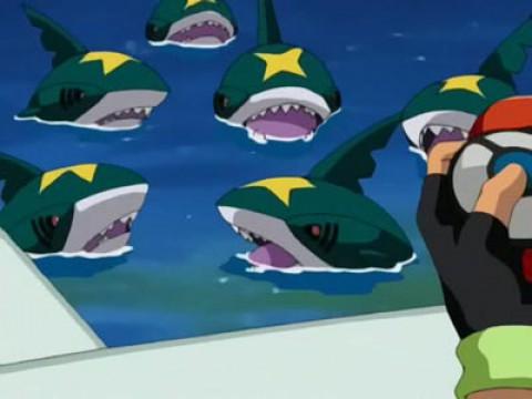 Sharpedo Attack!