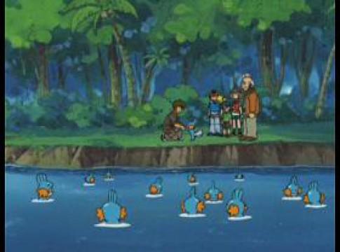 A Mudkip Mission