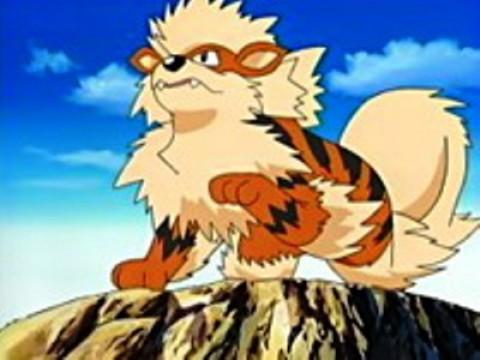 On Cloud Arcanine