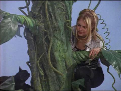 Sabrina and the Beanstalk