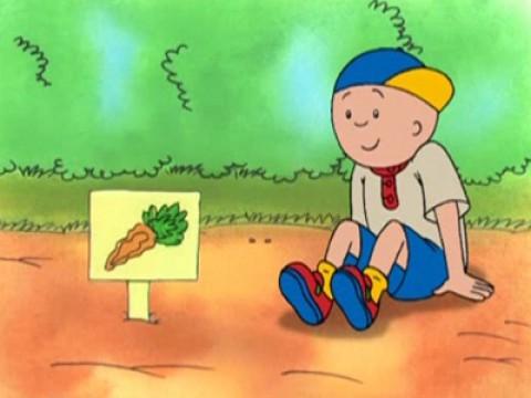 Caillou Grows Carrots