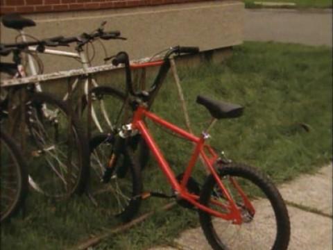 The Tale of the Shiny Red Bicycle