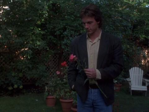 I Never Promised You a Rose Garden