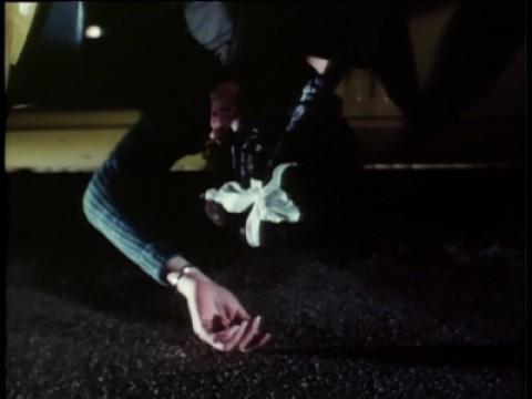 The Orchid Killer